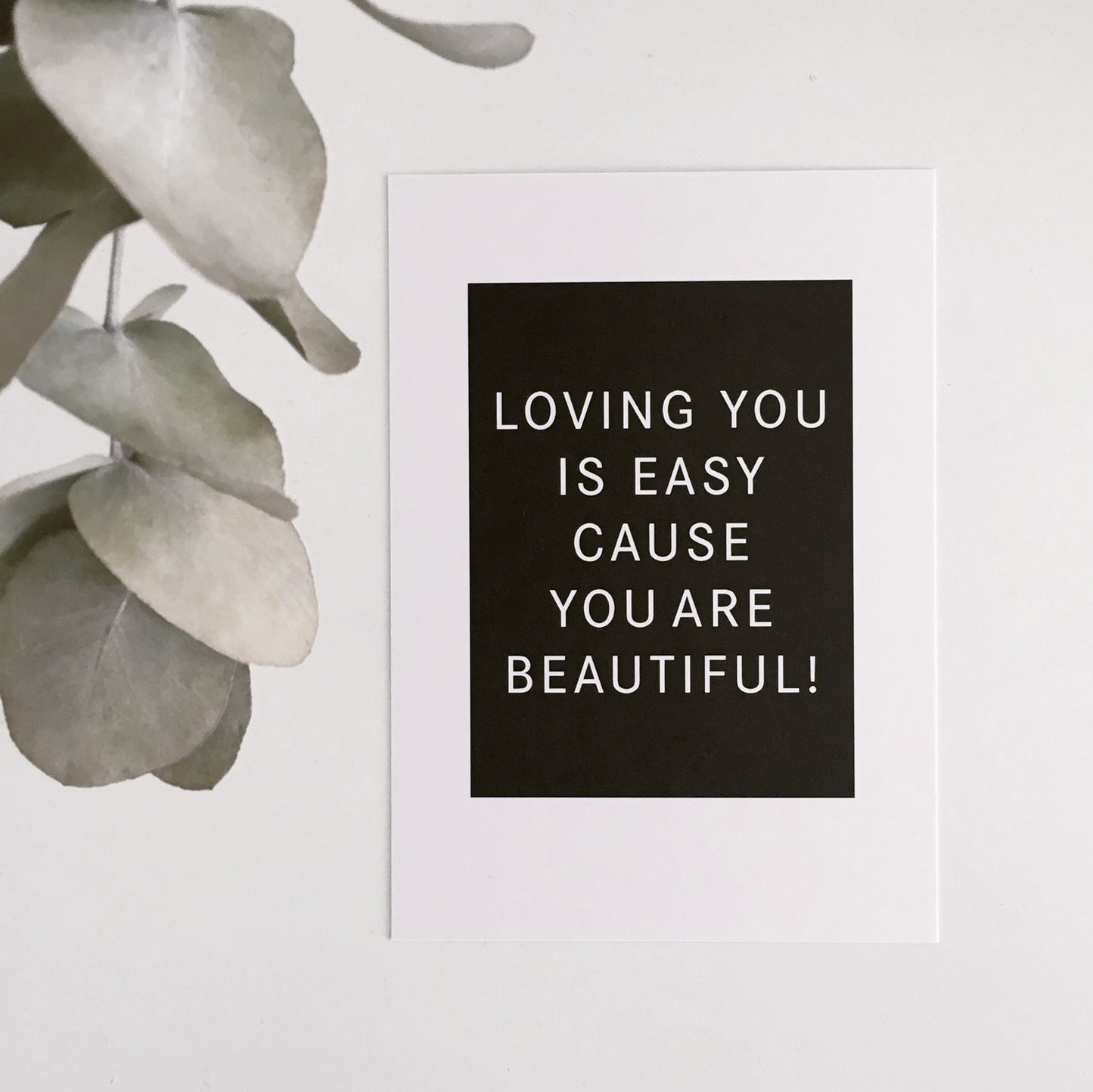 Love Edition Set